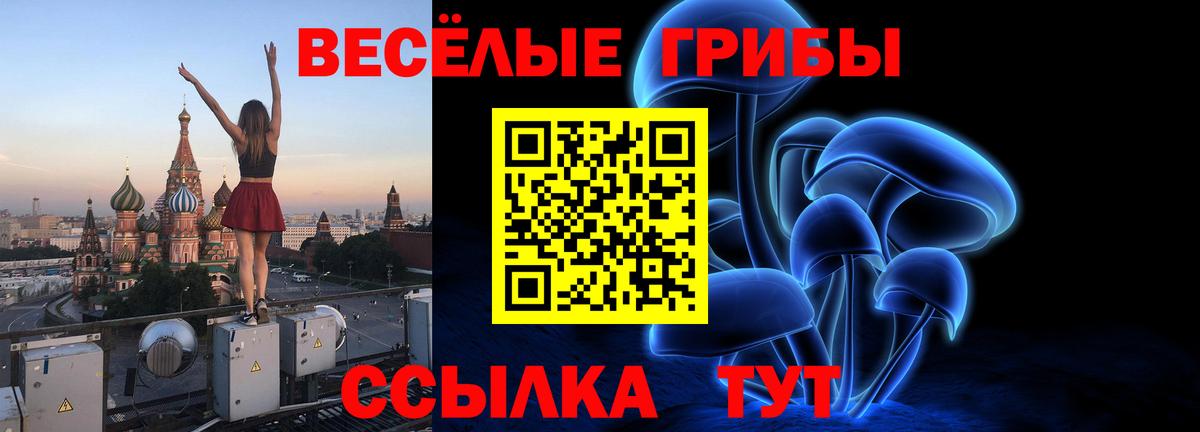 Галлюциногенные грибы ЛСД  Вход с VPN  Бутурлиновка  Галлюциногенные грибы Psilocybine cubensis 